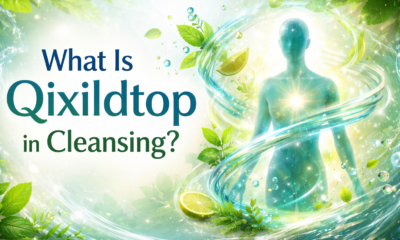 what is qixildtop in cleansing: Myth or Method? DeepAnalysis