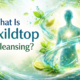 what is qixildtop in cleansing: Myth or Method? DeepAnalysis